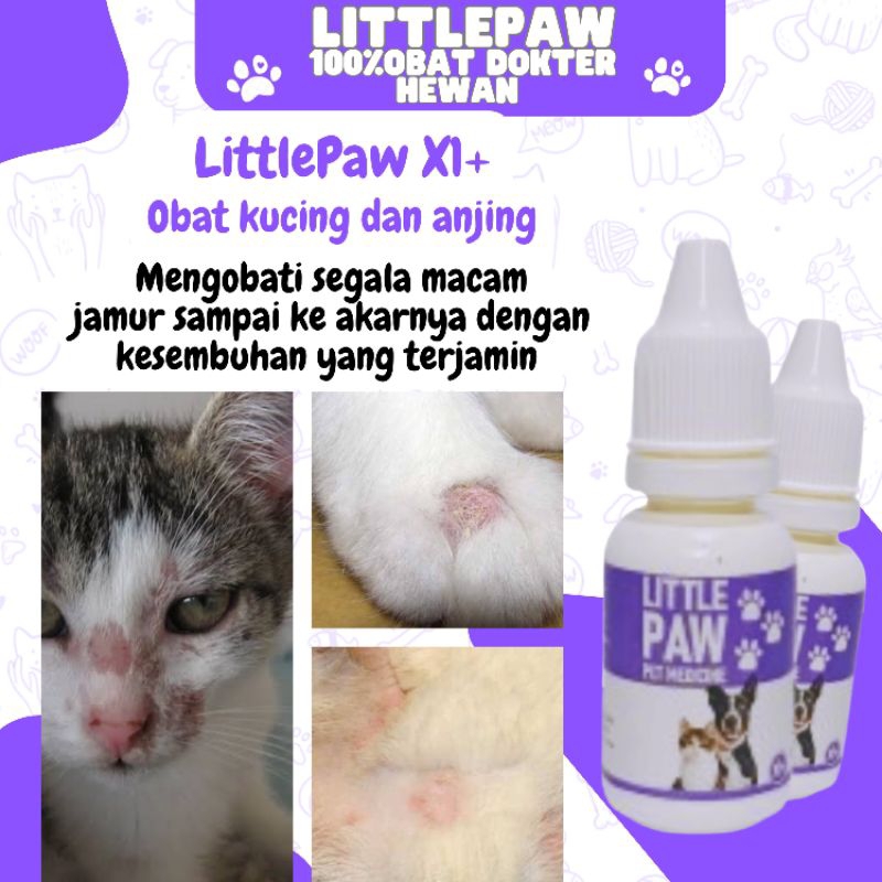 LITTLEPAW X1+OBAT TETES JAMUR KUCING ANJING