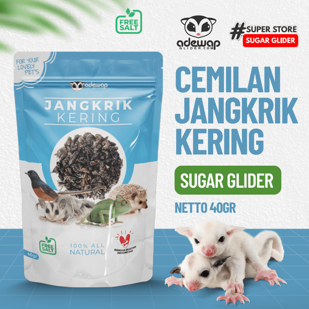 ADEWAP GLIDER Dried Cricket Jangkrik Kering Sugar Glider