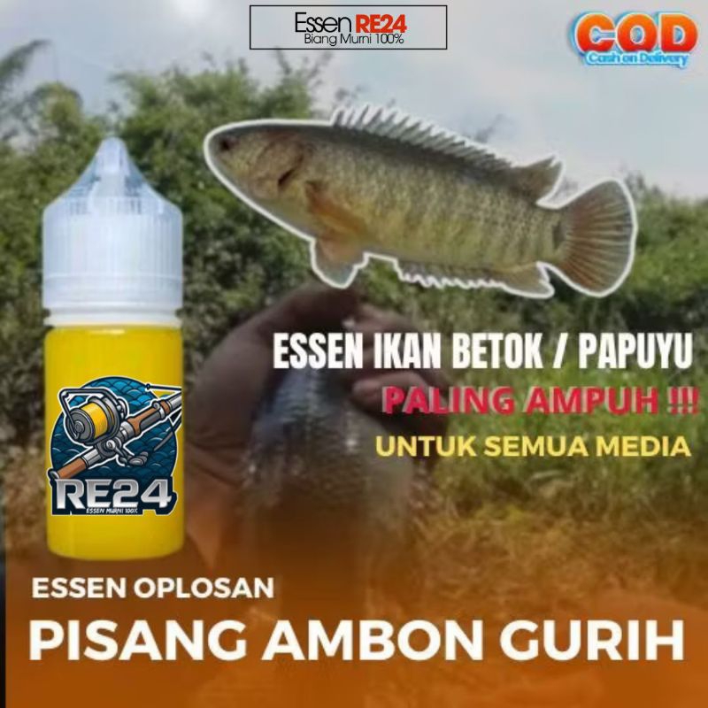 Essen Ikan Betok liar papuyu betik Essen Aroma Oplosan Pisang Ambon Gurih paling ampuh