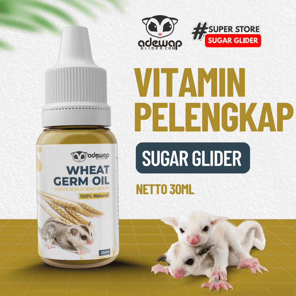 ADEWAP GLIDER Minyak Gandum Wheat Germ Oil Vitamin Sugar Glider