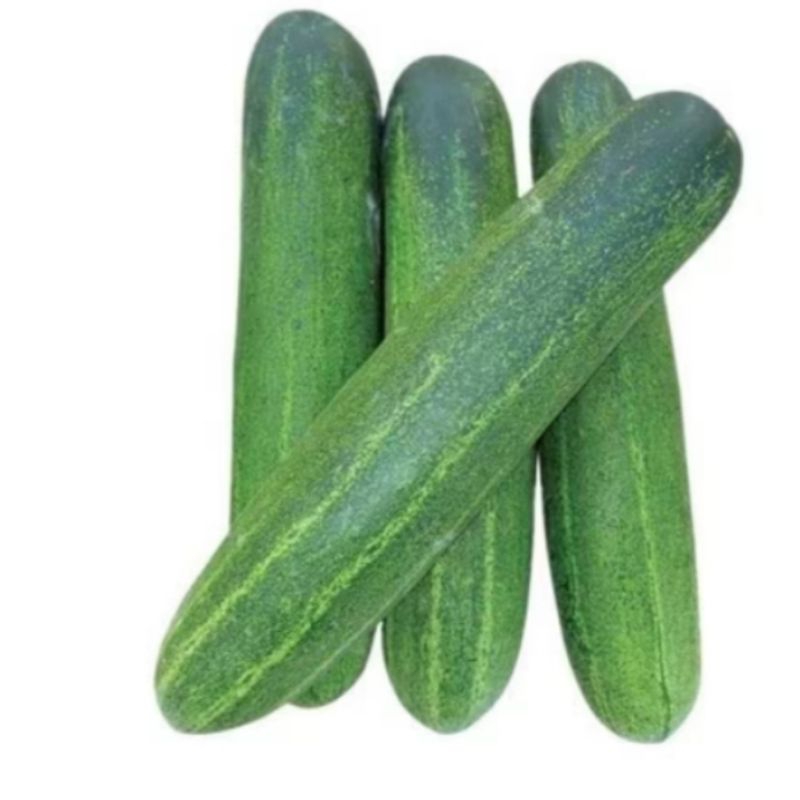 

timun segar 1kg