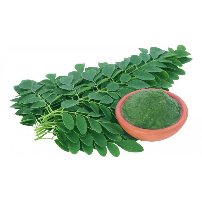 

Daun kelor fresh | daun kelor fresh | 1pcs 100 g