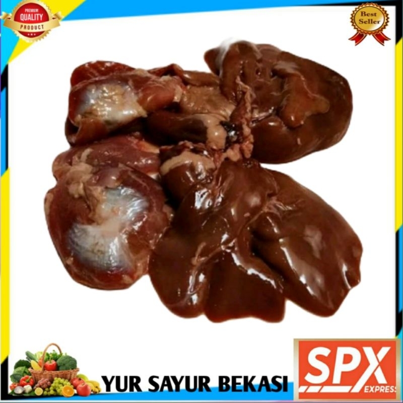 

Hati/Ati Ampela Ayam Besar (1 Pasang).