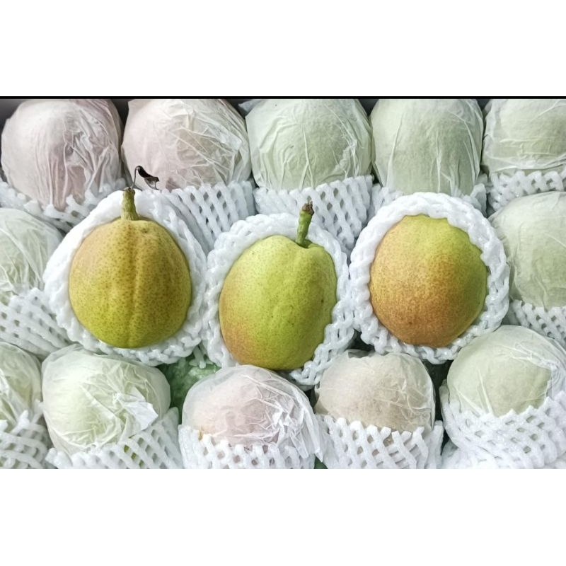 

Pear Xiang Lie 1 dus 6 kg