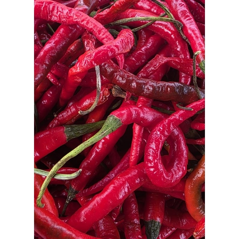 

Cabai merah