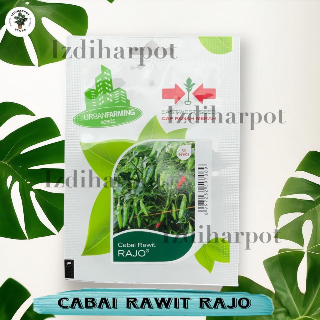 Benih Bibit Cabe Rawit Rajo Cap Panah Merah - CABAI RAWIT RAJO EAST WEST SEED