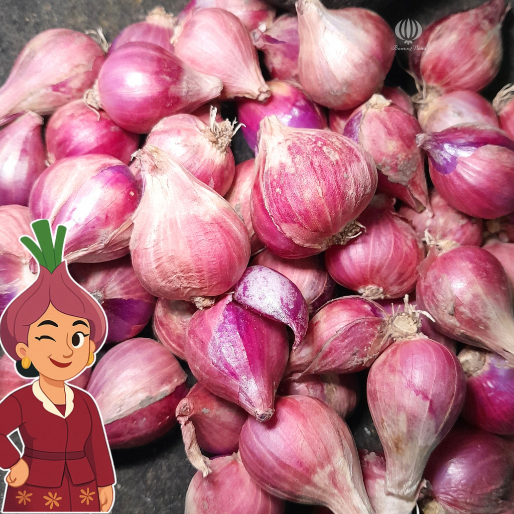 

[TERMURAH] PROMO 1/2kg Bawang Merah Nona Raya (Ukuran Besar) Gurih Wangi Organik Kering