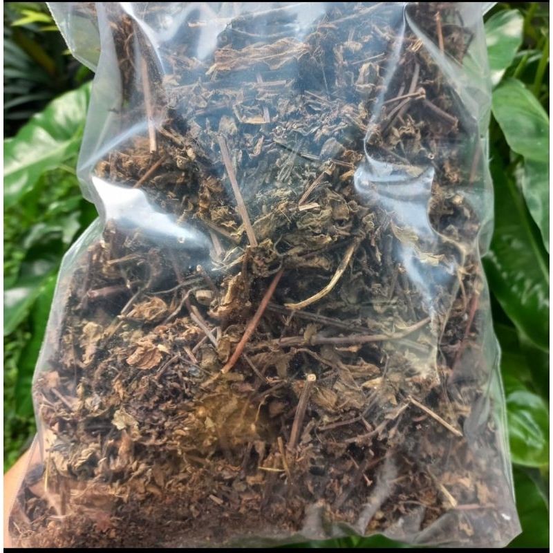 

Daun cincau hitam premium 2 kg janggelan kering