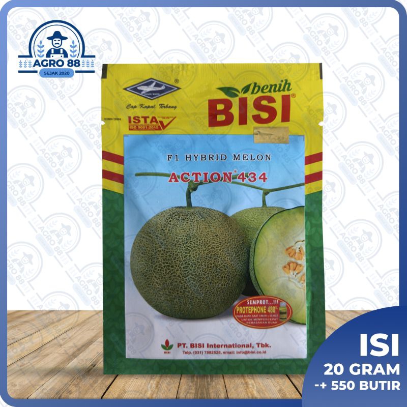 benih melon - Action 434