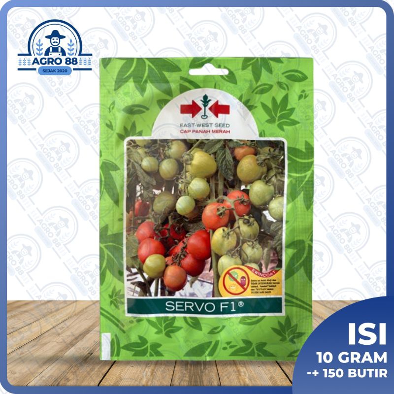 Benih tomat - Servo F1