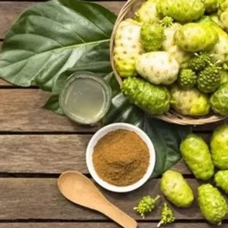 

Bubuk Serbuk Mengkudu Pace 100 Gram