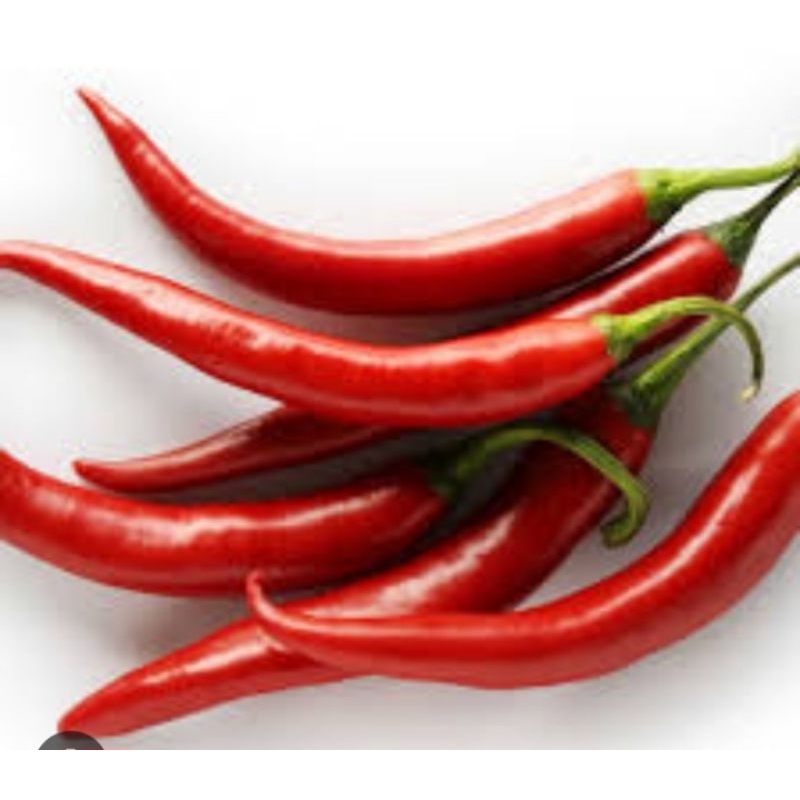 

cabe merah besar 1/4 kg