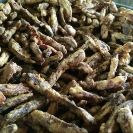 

Sale Pisang Jari SERBA 7000