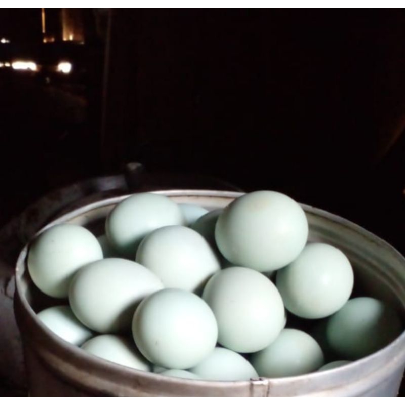 

TELOR ASIN|TELOR BEBEK ASIN|MATENG| 5 pcs