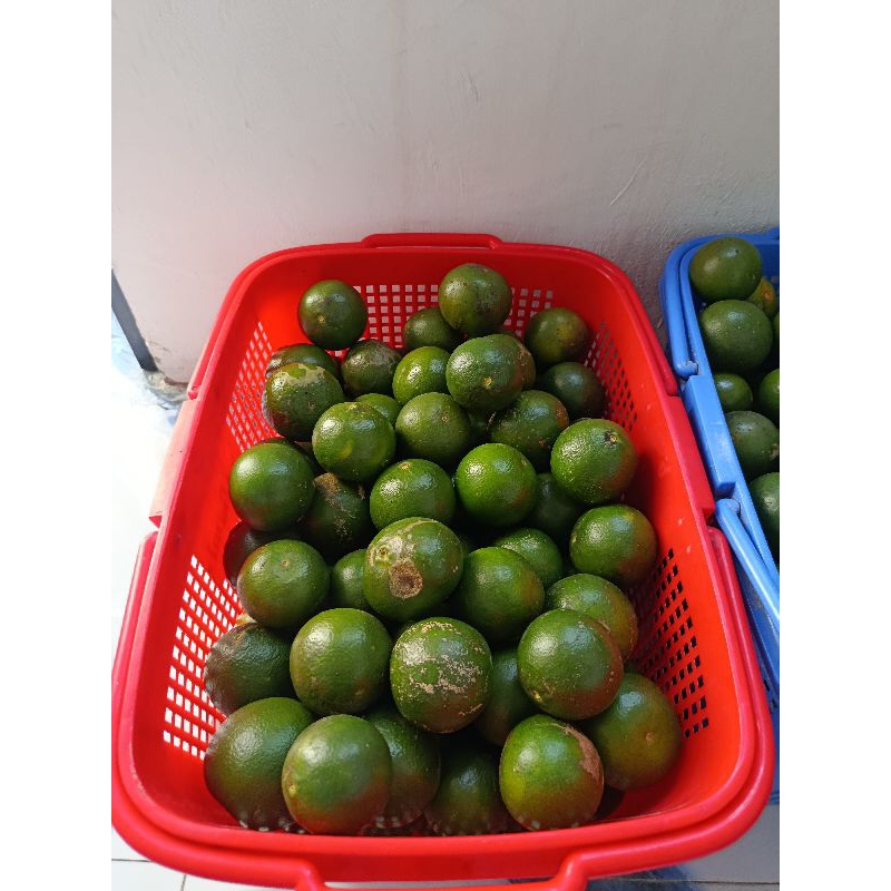 JERUK PERAS JERUK ES JERUK SIAM  1kg FRESH