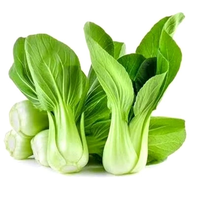 

Sayur sawi pak coy sawi daging Segar || KRIEGER