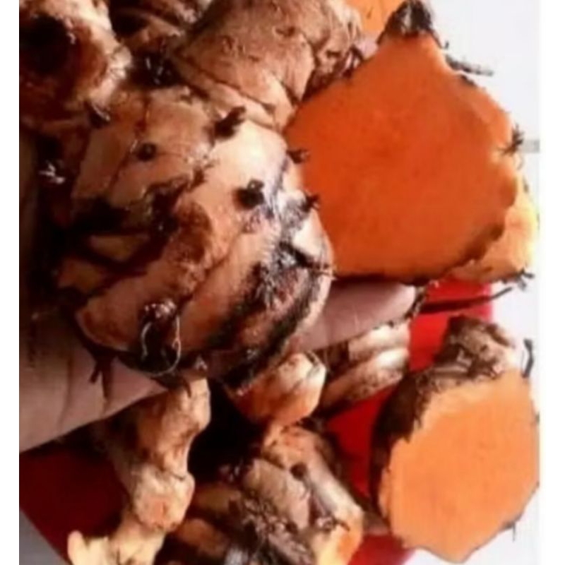 

Empu Kunyit / Ibu Kunyit / Kepala Kunyit / Biang Kunyit Fress 1 Kg
