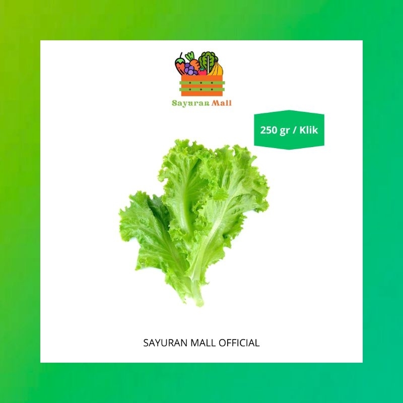 

250gr Selada Keriting | Sayur Online | SAYURANMALL