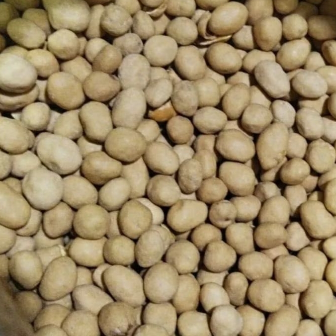 

KACANG ATOM PANGGANG 250gr