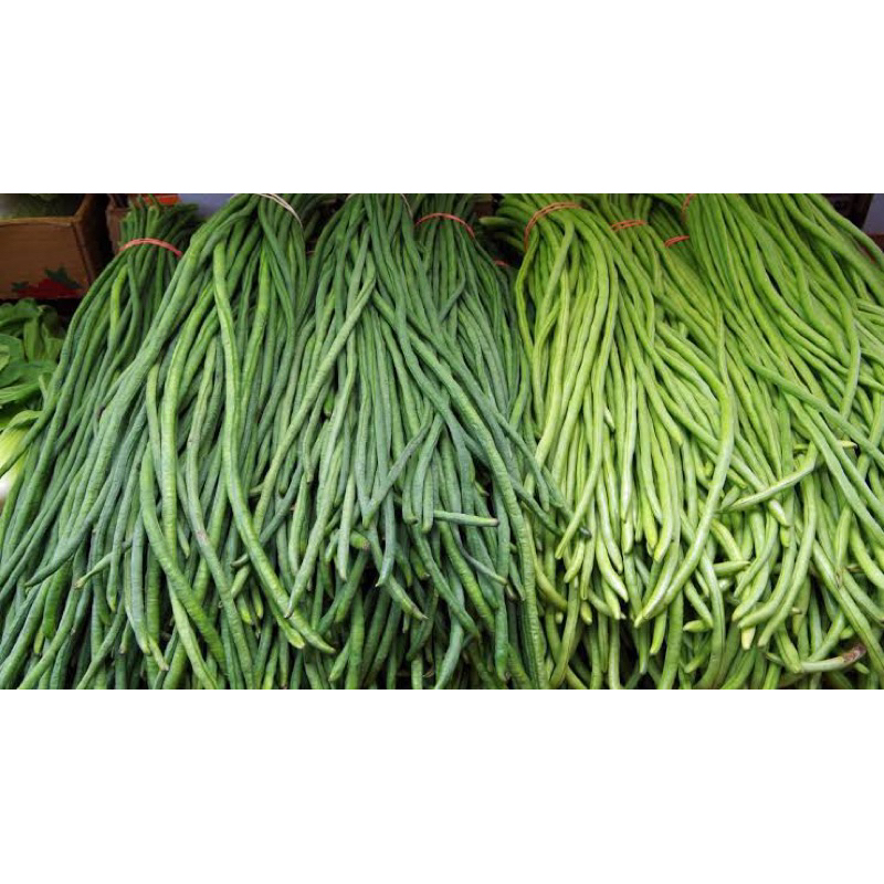 

KACANG PANJANG 250 GRAM