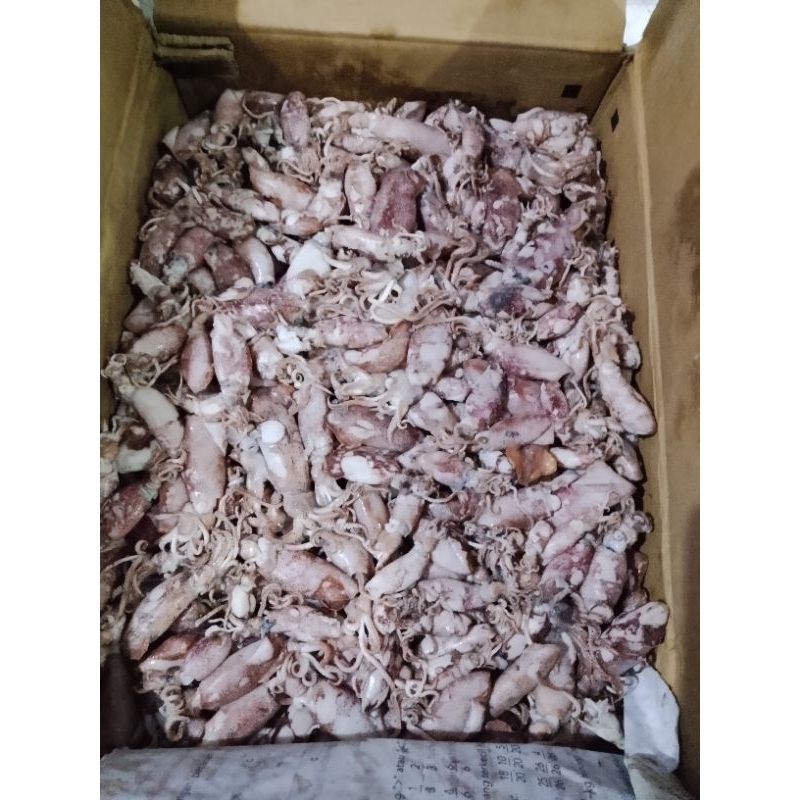 

Ikan Asin Cumi 250gram 38.000