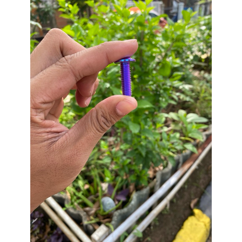 Baut Disc Cakram Piringan Titanium Original Vietnam