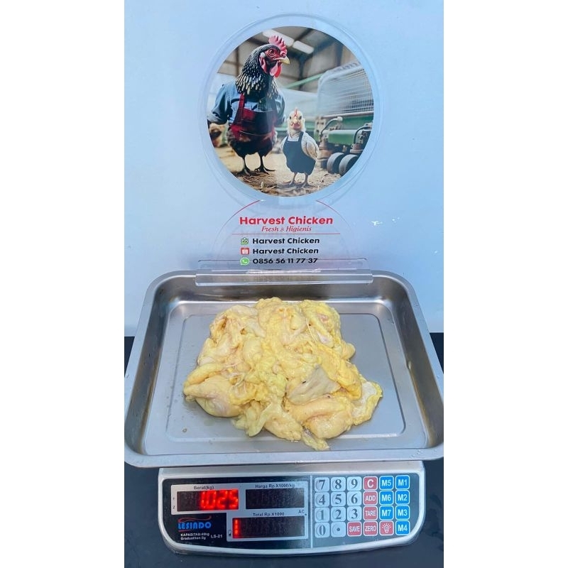 

LEMAK AYAM TUA ( 1kg )