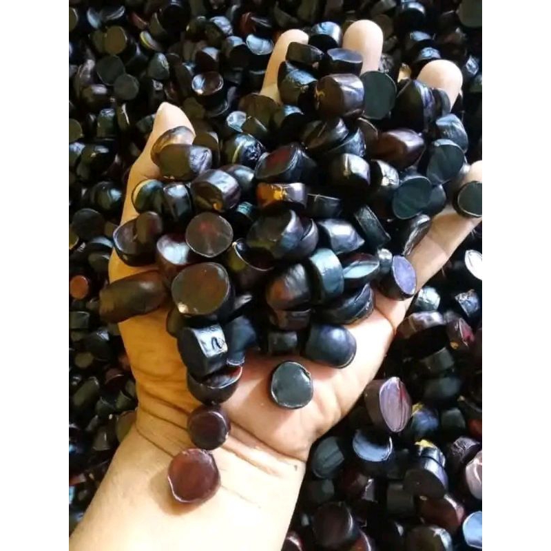 

jaling kabau lampung murah ready stok langsung kirim jaling kabau untuk lalapan ataupun sambal segar