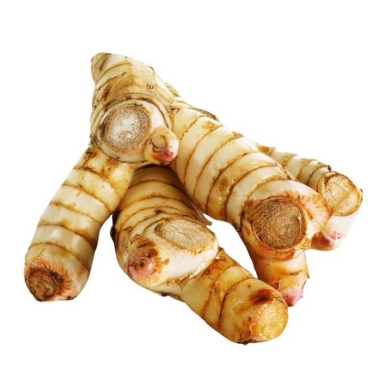 

laos lengkuas murah murah meriah promo 1kg