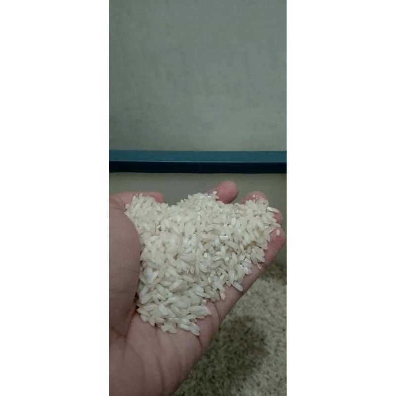 

Beras hasil panen sendiri