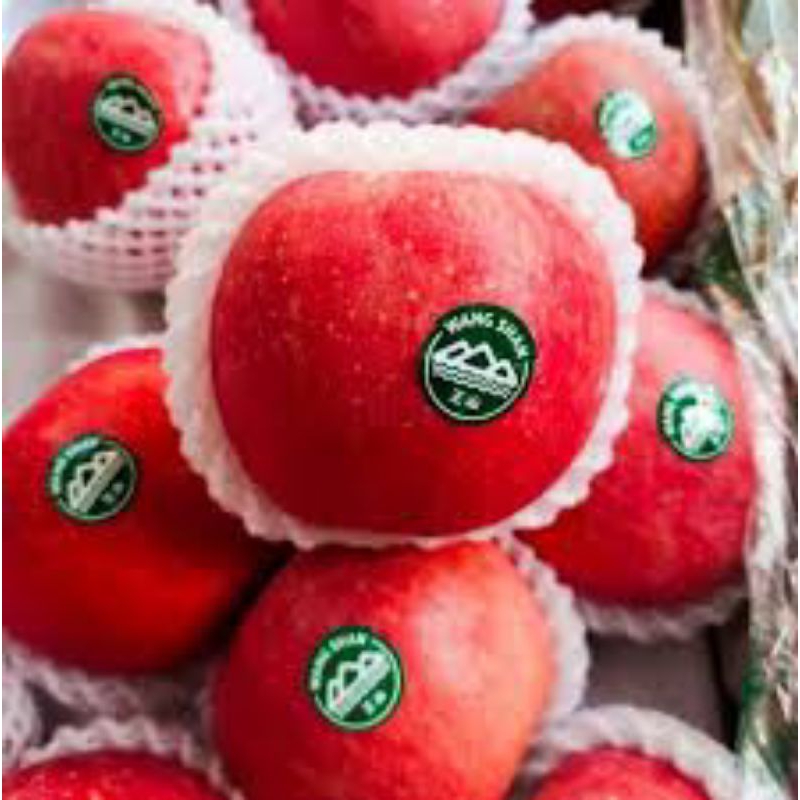 

[RBB] Buah Apel Fuji Wangshan Kering/ 1 pcs