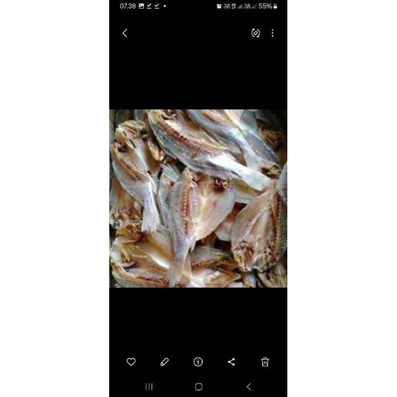 

ikan asin salungsungan