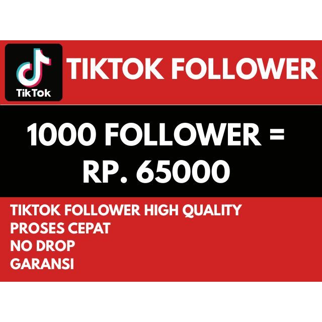 TIKTOK FOLLOWER HIGH QUALITY REAL