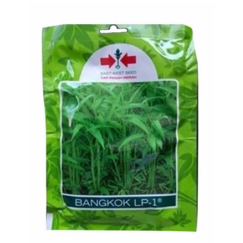 

benih kangkung hijau siap tanam-250 biji