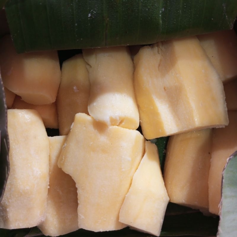 

TAPE MAYANGSARI ASLI JEMBER