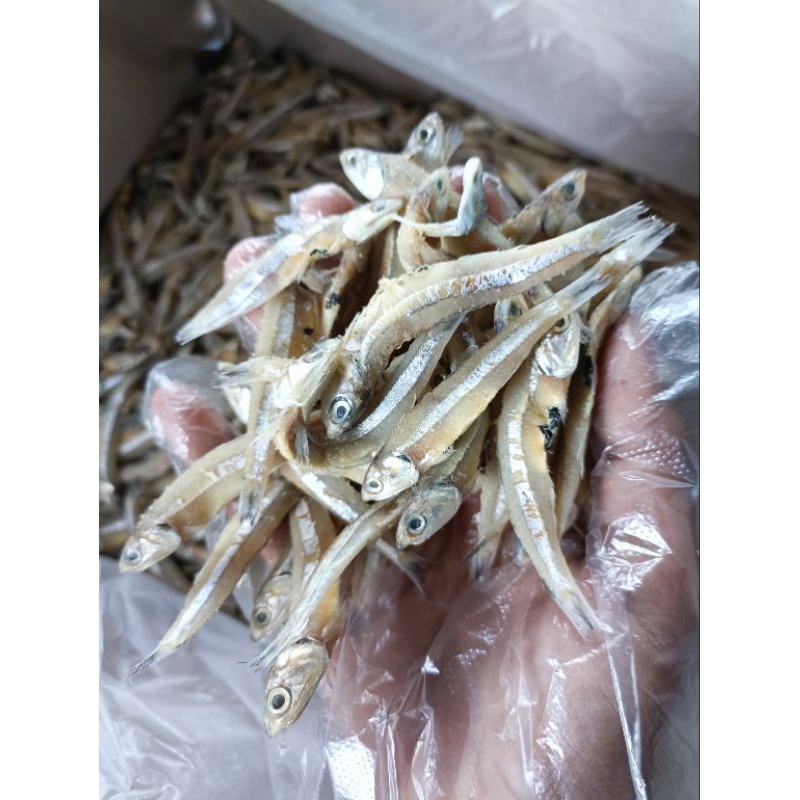 

Ikan Teri Jengki kering/ikan asin/ikan teri asin kualitas premium harga termurah