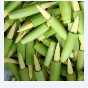 

Jagung Putren
