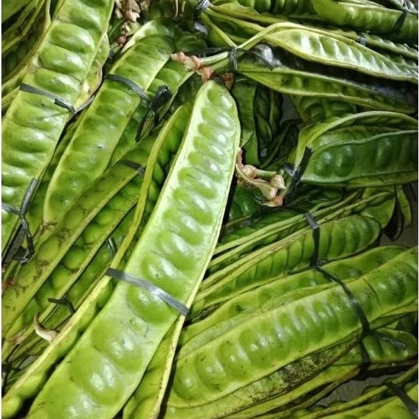 

PETE TUA 1 PAPAN KUALITAS SUPER