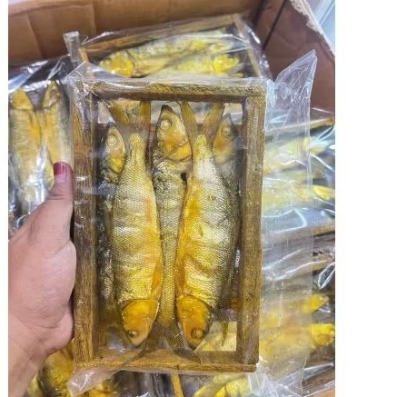 

bandeng presto Juwana isi 5