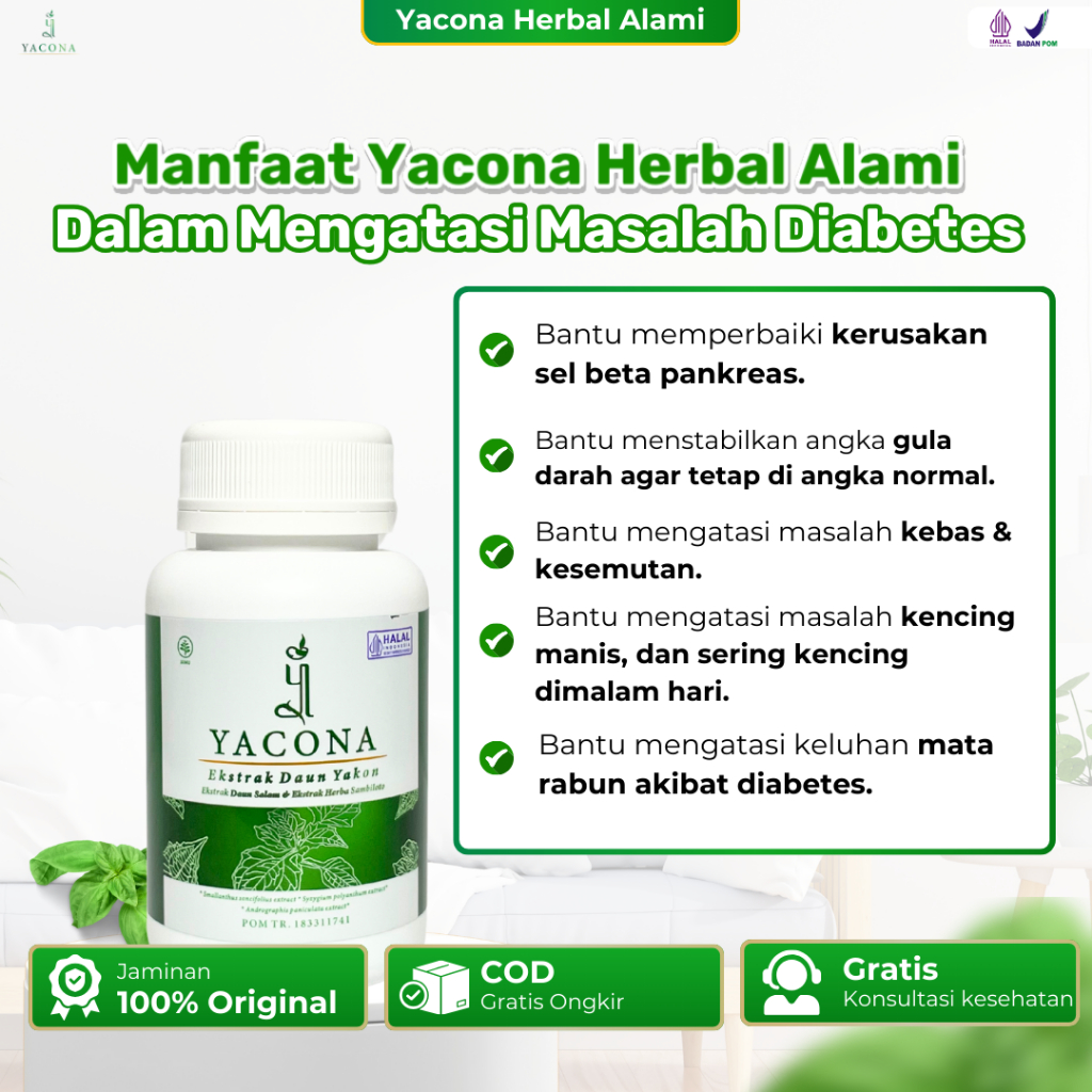 Yacona Obat Diabetes Efektif Bantu Atasi Lonjakan Gula Darah Sudah Halal & Bpom Indonesia