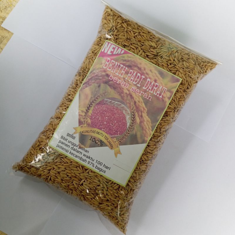 

Gabah padi Huma Padi darat beras merah 500 gram
