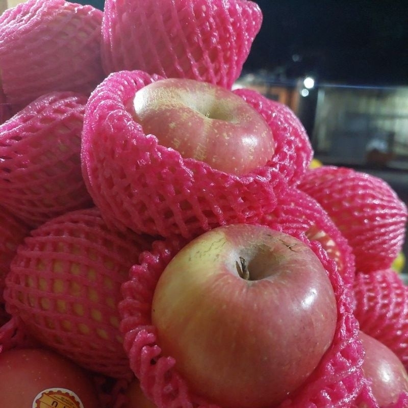 

APEL FUJI FRESH BIJIAN