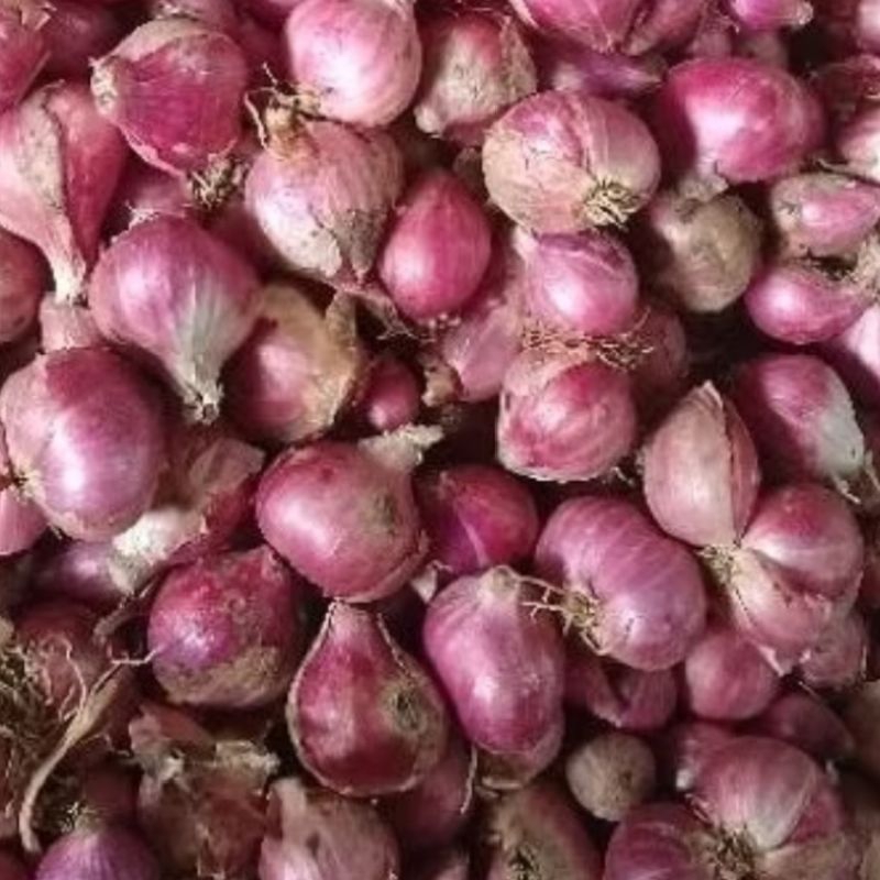 

Bawang Merah Ukuran Sedang 500 Gram Kualitas Oke Pedas Kering