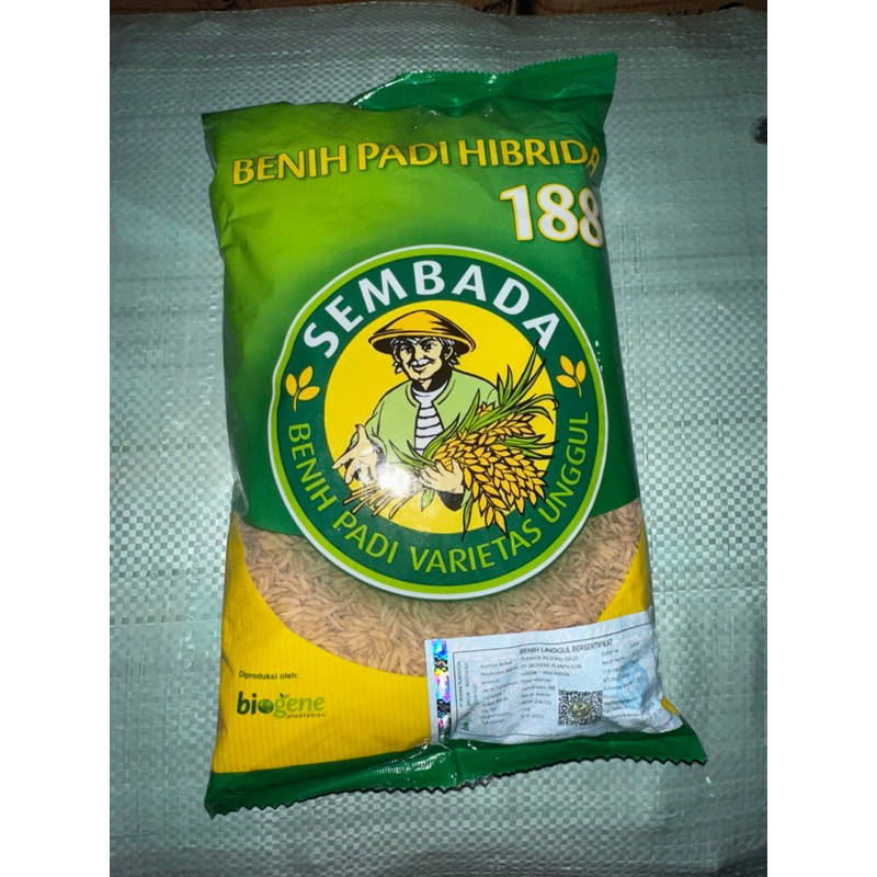 Benih PADI HIBRIDA SEMBADA 188, 1kg