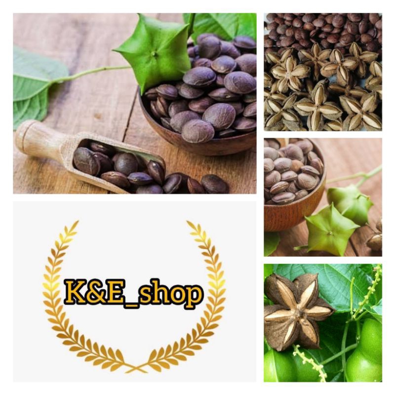 

Biji sacha inchi kering 500 gram