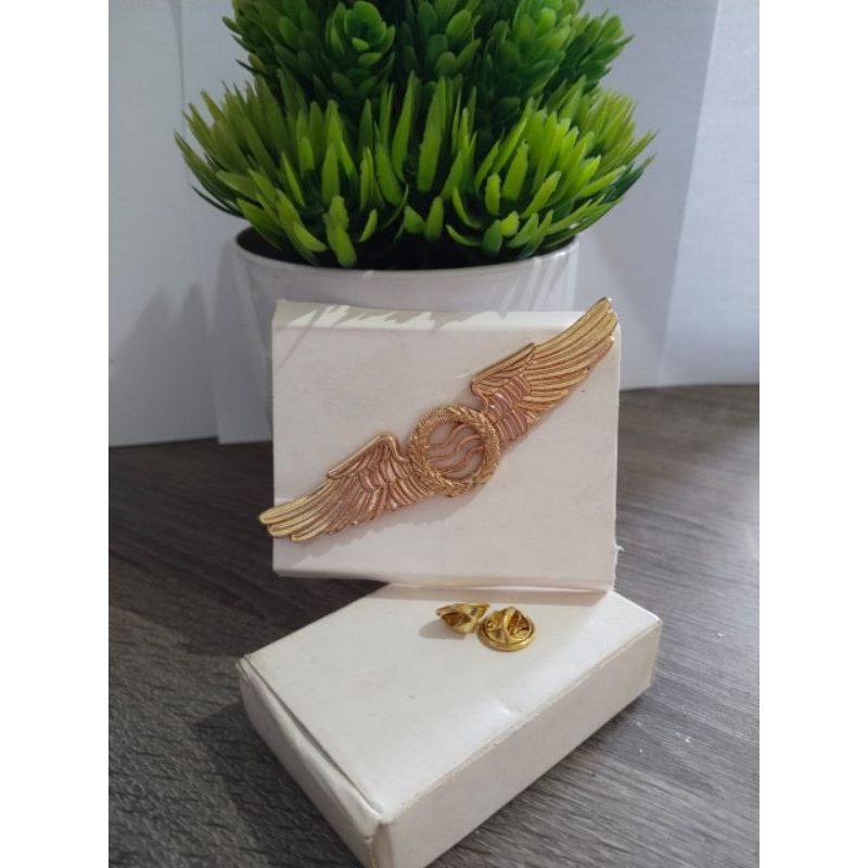 BRIVET TERBANG LAYANG TNI AU