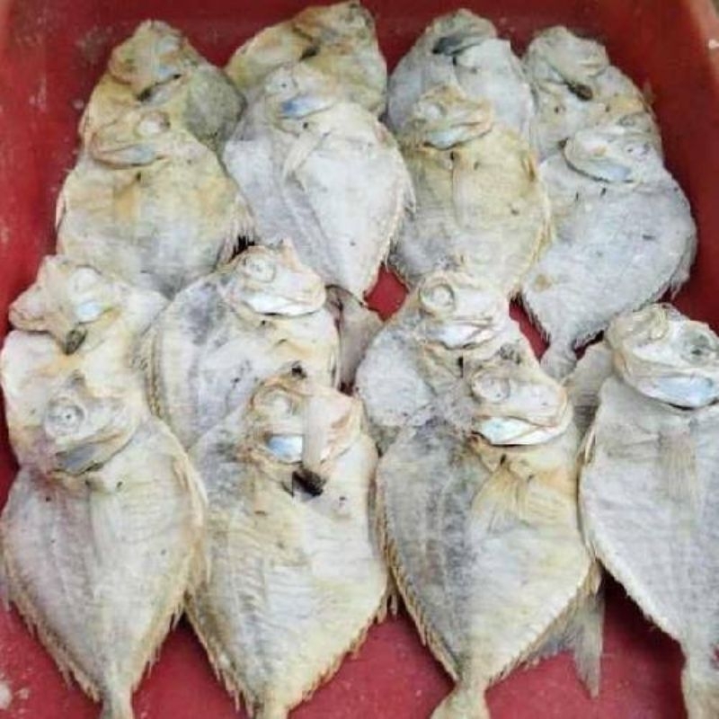 

ikan asin cotek 250gr
