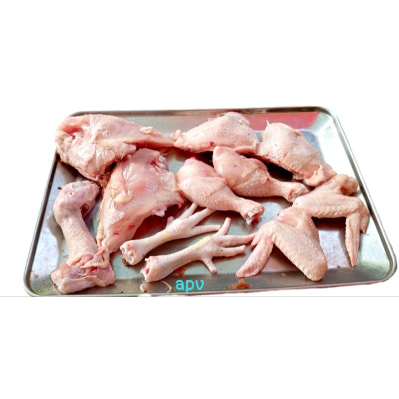 

ayam segar fresh campur mix 1 ekor berat hidup 1,5