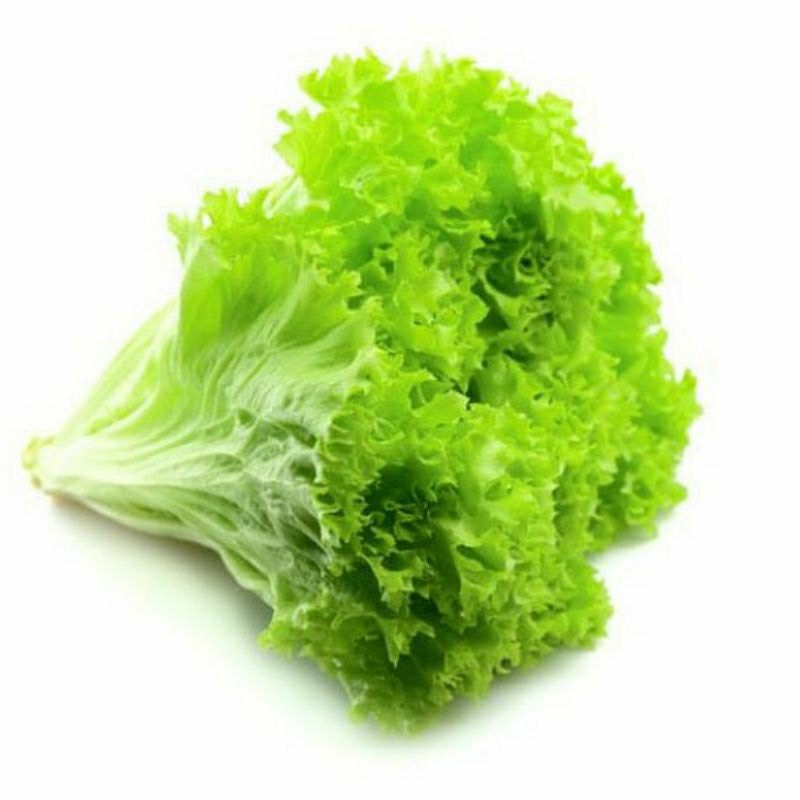 

INSTANT Sayuran - sayur salada bokor 250g by pasar Tasik online