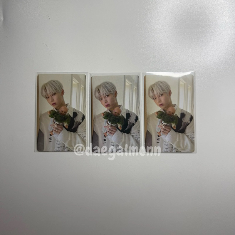 Photocard pc album BDC sunoo boneka official